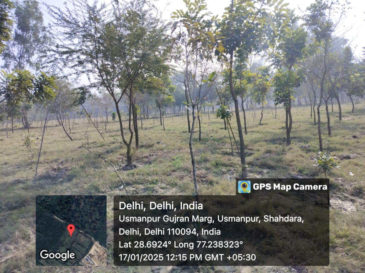 Compensatory Afforestation